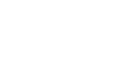 Alexander Philips homepage logo